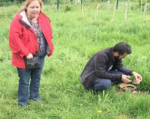 Dr. Mary Valante:  Studying Pottery in Dublin